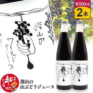 yӂ邳Ɣ[Łz_r[Ly[{^ [R̎RԂǂW[Xi500ml×2{j钬Y }uhE Y100%t
