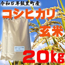 【ふるさと納税】コシヒカリ　玄米　20kg　令和5年山形県飯豊町産　お米屋さんおすすめのおいしいお米【1396926】