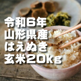 【ふるさと納税】はえぬき 玄米 20kg 令和6年山形県飯豊町産 お米屋さんおすすめのおいしいお米【1504953】