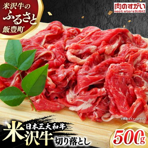 yӂ邳Ɣ[ŁzŷzlC̃uha đ  ؂藎Ƃ 500giⓀցj
