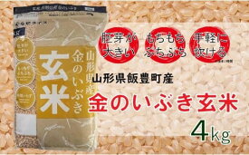 【ふるさと納税】山形県飯豊町産 金のいぶき 玄米4kg（R6年産米）