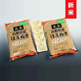 【ふるさと納税】玄米はえぬき10kg+つや姫パックライス4P（令和7年産新米予約）（株式会社まいすたぁ）