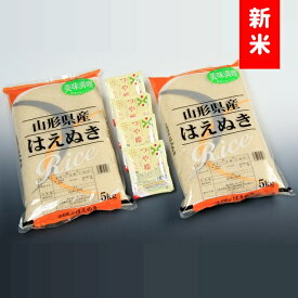 【ふるさと納税】はえぬき10kg+つや姫パックライス4P（令和7年産新米予約）（株式会社まいすたぁ）