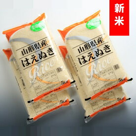 【ふるさと納税】はえぬき20kg（5kg×4袋）（令和7年産新米予約）（株式会社まいすたぁ）