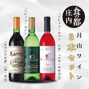 【ふるさと納税】食の都庄内 月山ワイン 3本セット(庄内たがわ農業協同組合)