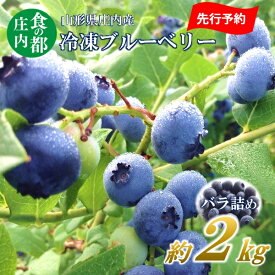 【ふるさと納税】【2026年産 先行予約】食の都庄内　庄内産冷凍ブルーベリー（バラ詰め約2kg）※2026年8月頃より発送開始予定（庄内たがわ農業協同組合）