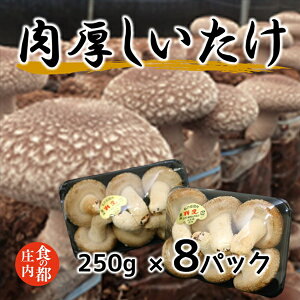 �y�ӂ邳�Ɣ[�Łz�H�̓s�����@�������������y���Ԍ���z��11�����{����菇�������i����������_�Ƌ����g���j