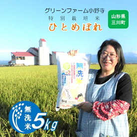 【ふるさと納税】グリーンファーム小野寺の【無洗米】ひとめぼれ5kg（グリーンファーム小野寺）