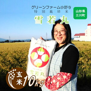 �y�ӂ邳�Ɣ[�Łz�y���āz�O���[���t�@�[�����쎛�̓��ʍ͔|�Đ���10kg