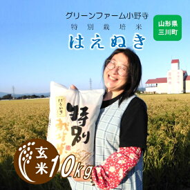 【ふるさと納税】【玄米】グリーンファーム小野寺の特別栽培米はえぬき10kg
