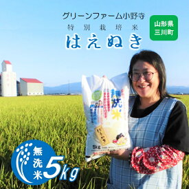 【ふるさと納税】グリーンファーム小野寺の【無洗米】はえぬき5kg（グリーンファーム小野寺）