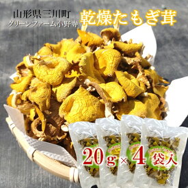 【ふるさと納税】グリーンファーム小野寺の乾燥たもぎ茸　20g×4袋（グリーンファーム小野寺）