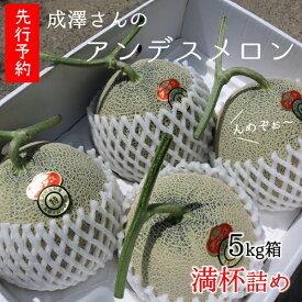 【ふるさと納税】★先行予約★【令和8年産】成澤さんのアンデスメロン（5kg箱満杯詰め）※青肉メロン