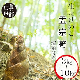 【ふるさと納税】★先行予約★【令和8年産】食の都庄内　生たけのこ「孟宗筍」3kg・5kg・10kg酒粕付き※4月下旬～5月下旬発送予定（やまがた庄内産直出前便実行委員会）
