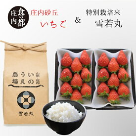 【ふるさと納税】食の都庄内　庄内産いちご180g×2パック＆特別栽培米2kg「雪若丸」セット（やまがた庄内産直出前便実行委員会）