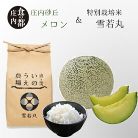 【ふるさと納税】食の都庄内　庄内産《青肉》メロン2玉＆特別栽培米2kg「雪若丸」セット※令和8年6月中下旬～8月上旬頃まで（やまがた庄内産直出前便実行委員会）