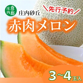【ふるさと納税】【2026年産 先行予約】食の都庄内　プロの技！庄内砂丘　赤肉メロン　※2026年7月上旬頃より発送開始予定（産直みかわ事業協同組合）