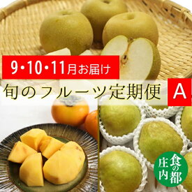 【ふるさと納税】食の都庄内　《9・10・11月お届け-A》旬のフルーツの3ヶ月定期便　※山形　3回定期（有限会社庄内旬青果）