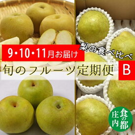 【ふるさと納税】食の都庄内　《9・10・11月お届け-B》旬のフルーツの3ヶ月定期便　※山形　3回定期（有限会社庄内旬青果）