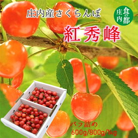 【ふるさと納税】★先行予約★【令和8年産】食の都庄内　庄内産さくらんぼ「紅秀峰」選べる容量_400g/600g/1kg　※令和8年6月下旬～7月上旬頃発送予定（有限会社庄内旬青果）