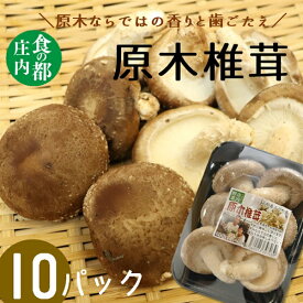 【ふるさと納税】食の都庄内　原木しいたけ（まさに木の子）10パック（有限会社庄内旬青果）