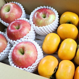 【ふるさと納税】食の都庄内　庄内の葉とらずりんごと庄内柿の詰め合わせ計約4kg※11月中下旬頃発送（有限会社庄内旬青果）