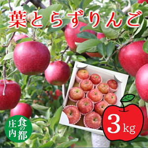 �y�ӂ邳�Ɣ[�Łz�H�̓s�����@�t�Ƃ炸�Ԃ�񂲁@��3kg��11�������珇�������i�L����Џ����{�ʁj