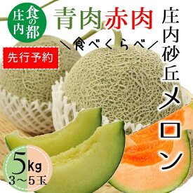 【ふるさと納税】★先行予約★食の都庄内【令和8年産】庄内の青肉＆赤肉メロン5kg（3～5玉）　※令和8年7月上旬～8月上旬頃まで（有限会社庄内旬青果）