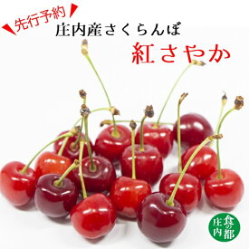 【ふるさと納税】★先行予約★【令和8年産】食の都庄内　庄内のさくらんぼ「紅さやか」800gバラ詰め　※令和8年6月上旬～中旬頃発送予定（有限会社庄内旬青果）