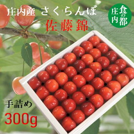 【ふるさと納税】★先行予約★【令和8年産】食の都庄内　庄内のさくらんぼ「佐藤錦」手詰め約300g　※令和8年6月中旬～下旬頃発送予定（有限会社庄内旬青果）