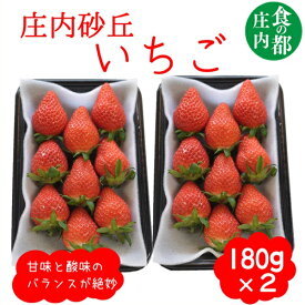 【ふるさと納税】食の都庄内　庄内砂丘のいちご2パック（2L～L）やや小粒も含む※1月中旬頃～順次配送（有限会社庄内旬青果）