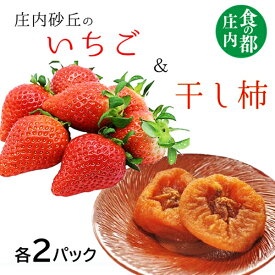 【ふるさと納税】食の都庄内　庄内砂丘のいちご＆干し柿【各2パック】※1月中旬頃～順次配送（有限会社庄内旬青果）