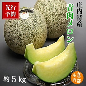 【ふるさと納税】【2026年産 先行予約】食の都庄内 青肉メロン 約5kg　 ※2026年6月下旬頃より発送開始予定 （マルショウ青果）