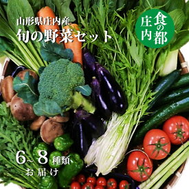 【ふるさと納税】食の都庄内　旬の野菜セット（マルショウ青果有限会社）