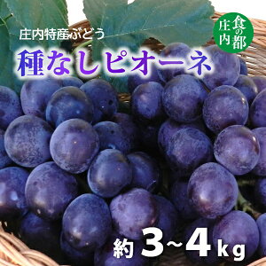 yӂ邳Ɣ[ŁzH̓s@YԂǂiȂsI[lji}VEʁj