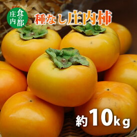 【ふるさと納税】種なし庄内柿約10kg（約5kg×2箱）　※令和7年10月下旬頃～順次配送　（マルショウ青果）
