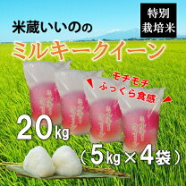 楽天市場】ふるさと納税 米 20kg（品種（米）ミルキークイーン）（白米 