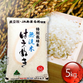 【ふるさと納税】 ふるさと納税 山形 特別栽培米はえぬき無洗米 5kg