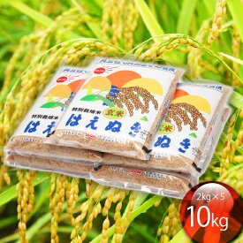 【ふるさと納税】特別栽培米玄米はえぬき 10kg ふるさと納税 山形