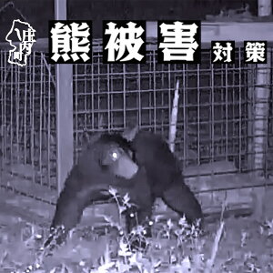 �y�ԗ�i�Ȃ��z�F��Q�΍�x��(�R�`��������)