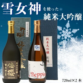 【ふるさと納税】 ふるさと納税 日本酒 純米大吟醸「雪女神」セット