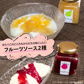 【ふるさと納税】はらぺこファーム こころもからだも元気にしたい フルーツソース 100g×2種 おまかせ 無添加 フルーツソース ヨーグルト アイス パンにも ふるさと納税 山形 庄内