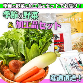 【ふるさと納税】産直直送 ！庄内町 季節の野菜 と 加工品 セット