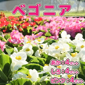 yӂ邳Ɣ[Łzy5{菇zK[fjOp ԕc xSjA 12|bgi4E4EsN4jiF2026.5.20j ӂ邳Ɣ[ R`