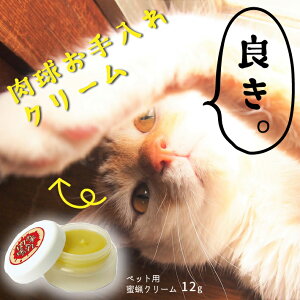 yӂ邳Ɣ[ŁzybgpXN[ ̂ ybgpi N[ ӂ邳Ɣ[ R`