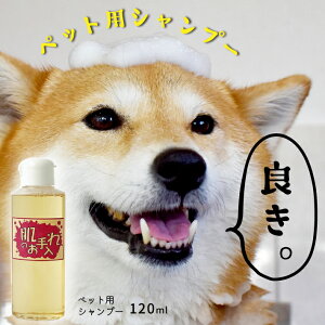 yӂ邳Ɣ[ŁzybgpVv[ ̂ ybgpi Vv[ ӂ邳Ɣ[ R`