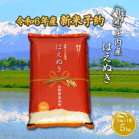 【ふるさと納税】新米受付 新米予約 令和6年産米　はえぬき　5kg　山形県　新米