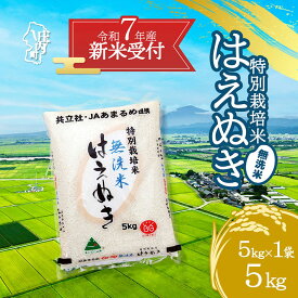 【ふるさと納税】【新米受付 10月発送】R7年産 特別栽培米はえぬき 無洗米 選べる内容量！ 2kg/5kg/10kg（入金期限：2025.9.15）新米 新米予約 先行受付 令和7年産米 米 ふるさと納税 山形県