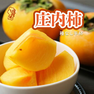 yӂ邳Ɣ[Łzy10{菇z` M`LTCY 7.5kgiF2025.10.10jӂ邳Ɣ[ R` ` 햳 Ȃ `