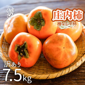 �y�ӂ邳�Ɣ[�Łz�yR8.10�����{��菇�������z�����` �ƒ�p�y�󂠂� ���X������z M�`L�T�C�Y 7.5kg�i���������F2026.10.10�j�ӂ邳�Ɣ[�� �R�` �` �햳�� ��Ȃ� ���` B���i